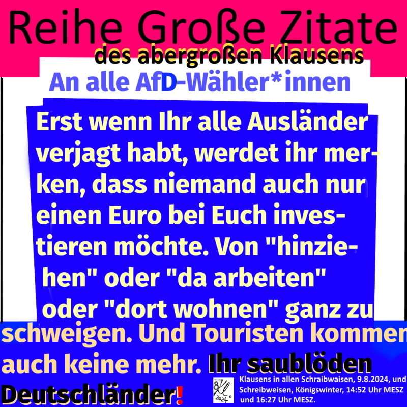 AfD-Waehler-Zitat