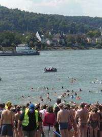 Klausens Foto Rheinschwimmen Erpel Unkel 16.8.2009