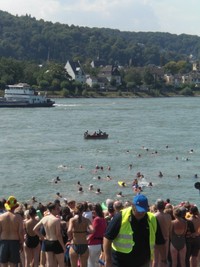 Klausens Foto Rheinschwimmen Erpel Unkel 16.8.2009